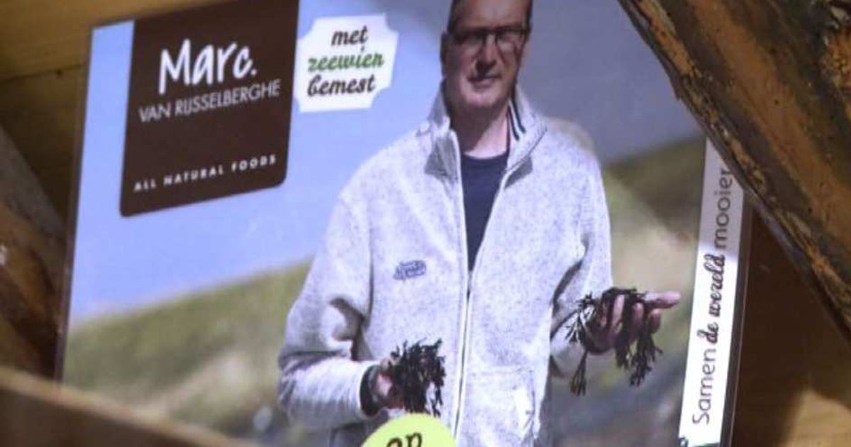 Video News 29/04/2015