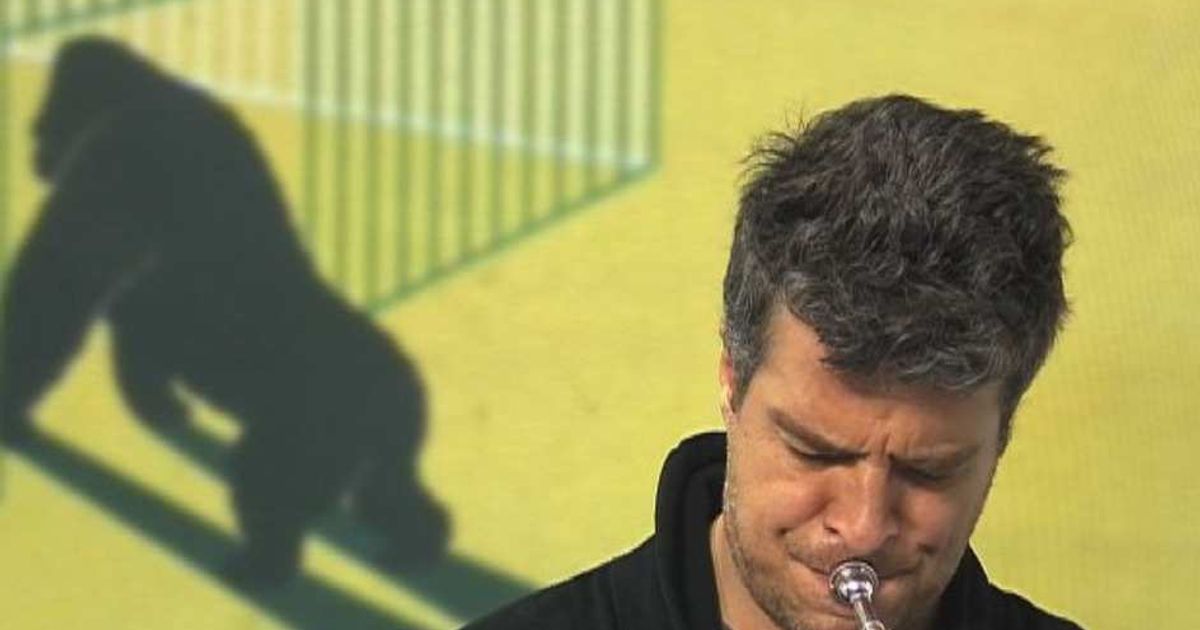 Video News 29/04/2015