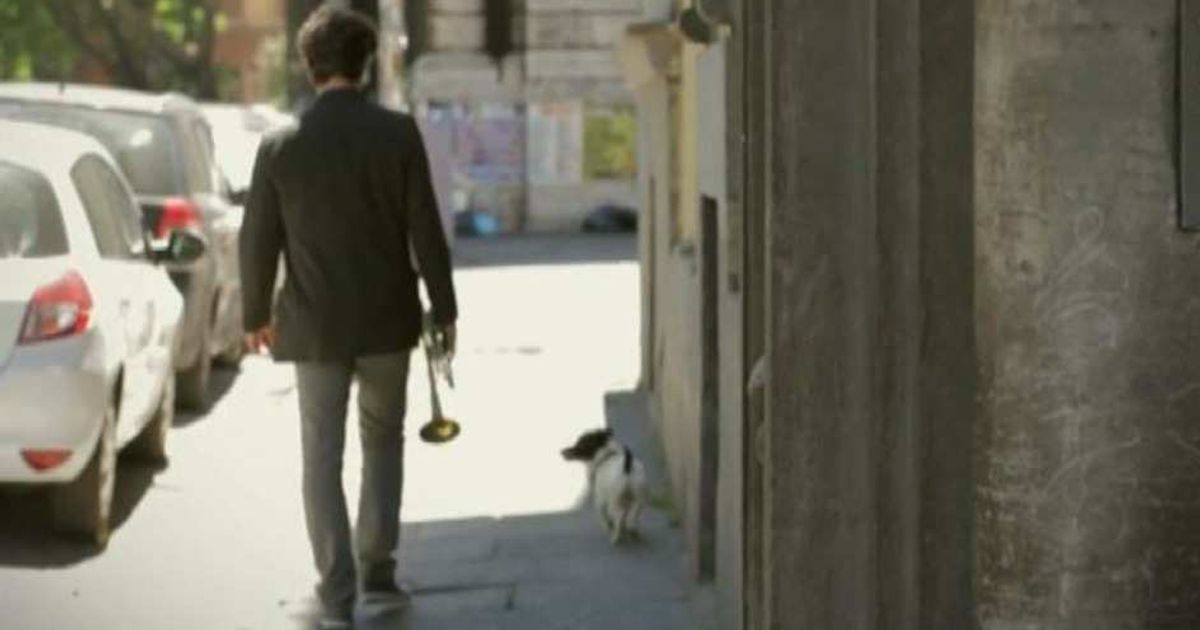 Video News 29/04/2015