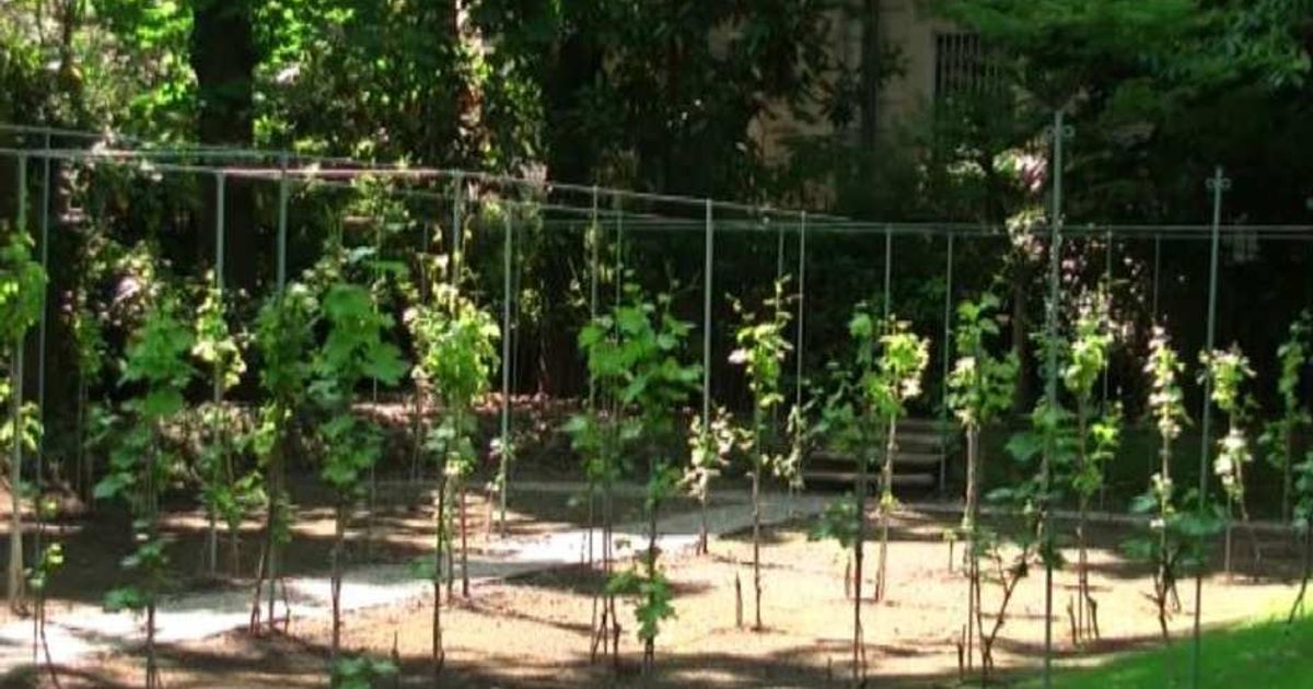 Video News 30/04/2015