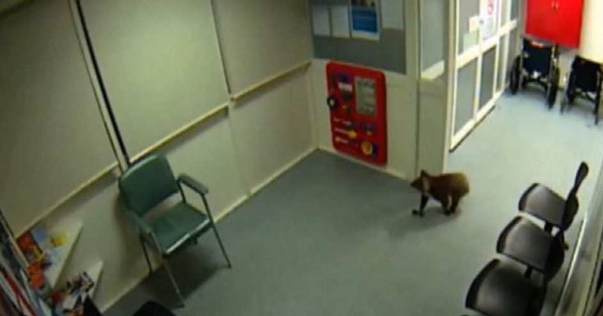 Video News 05/05/2015