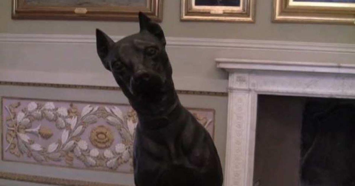 Video News 06/05/2015