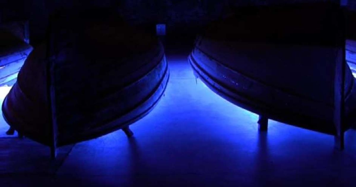 Video News 14/05/2015