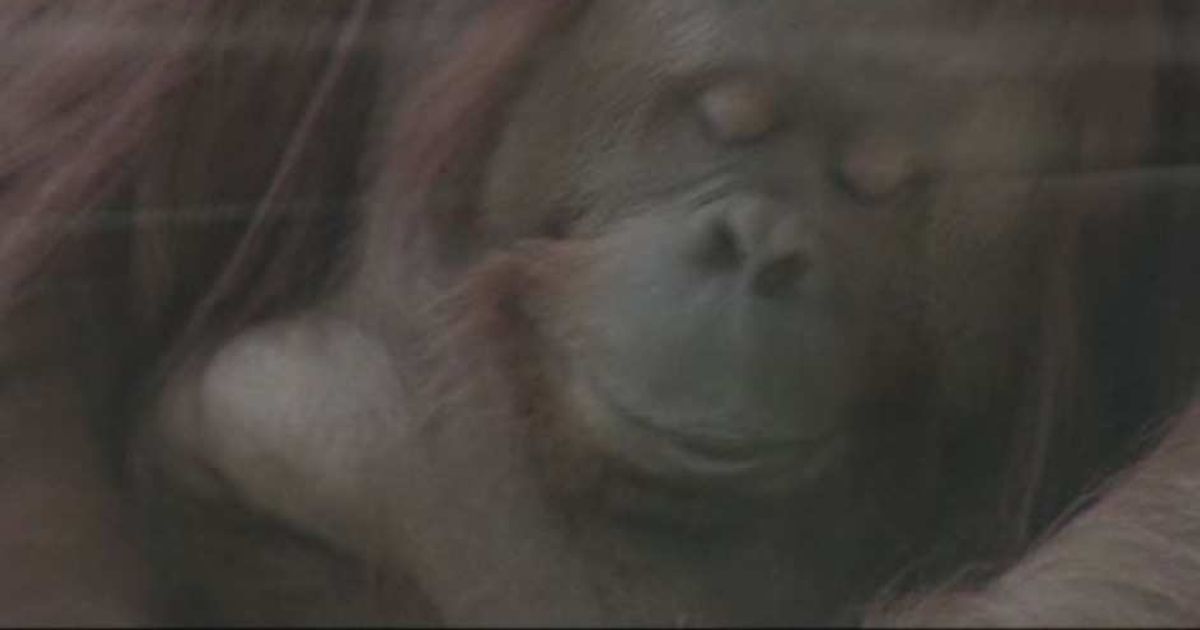 Video News 14/05/2015