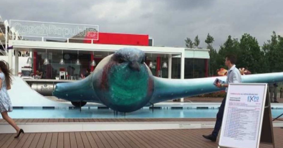 Video News 01/01/1970