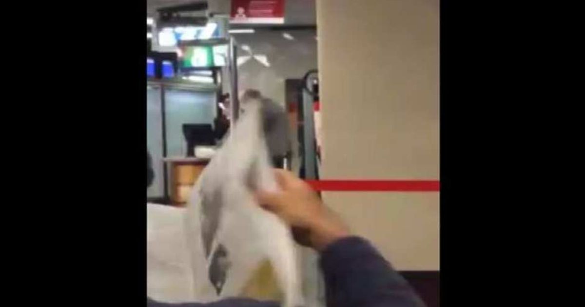 Video News 20/05/2015