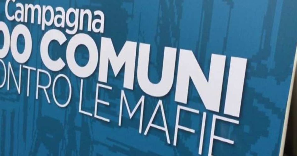 Video News 22/05/2015