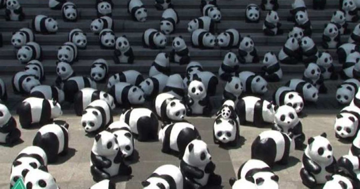 Video News 23/05/2015