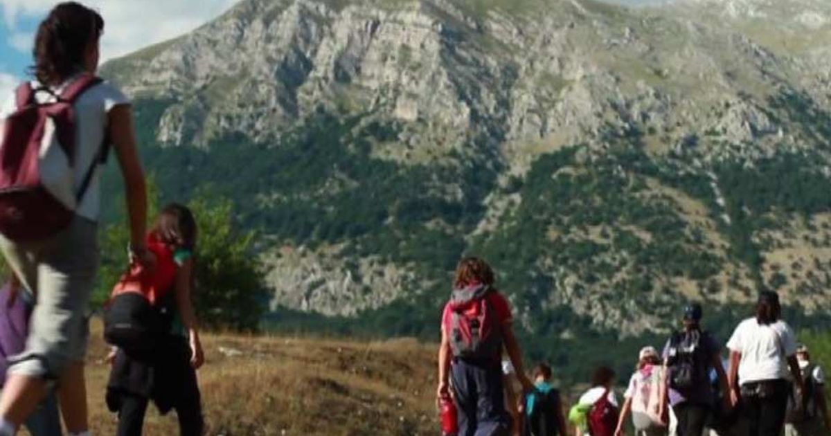 Video News 23/05/2015