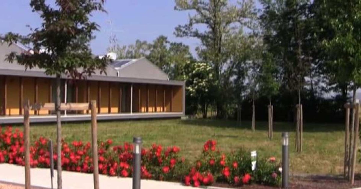 Video News 25/05/2015