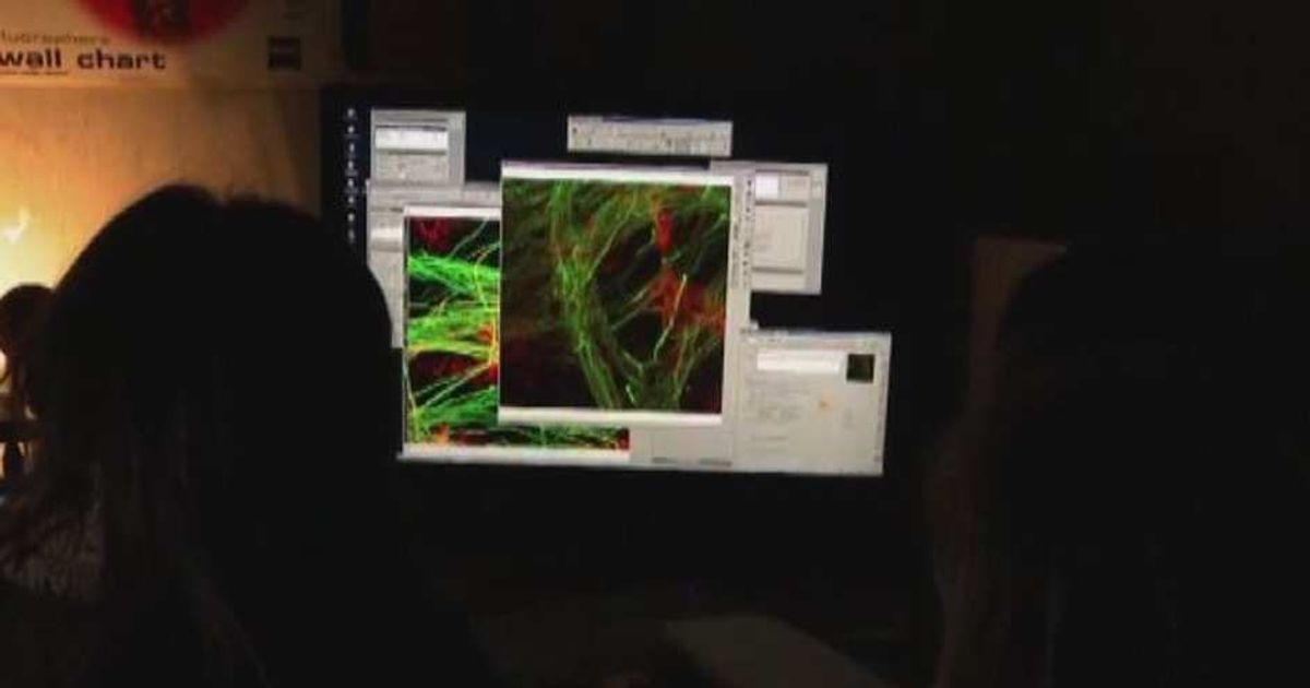 Video News 25/05/2015