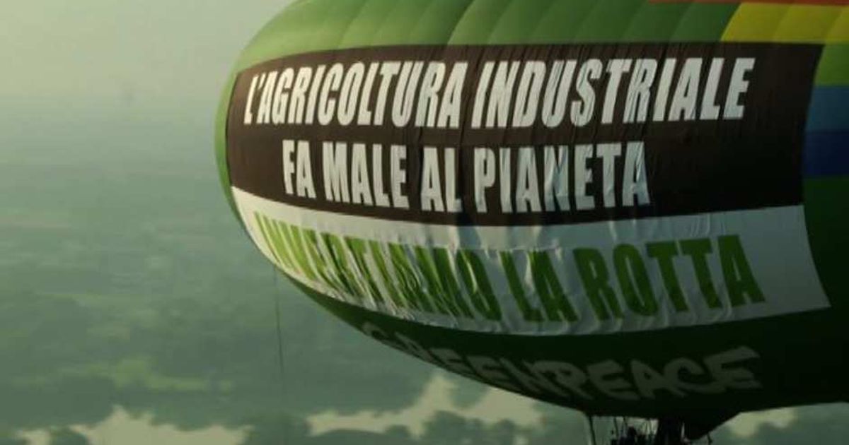 Video News 04/06/2015