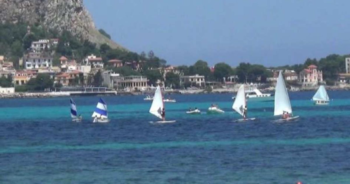 Video News 12/06/2015