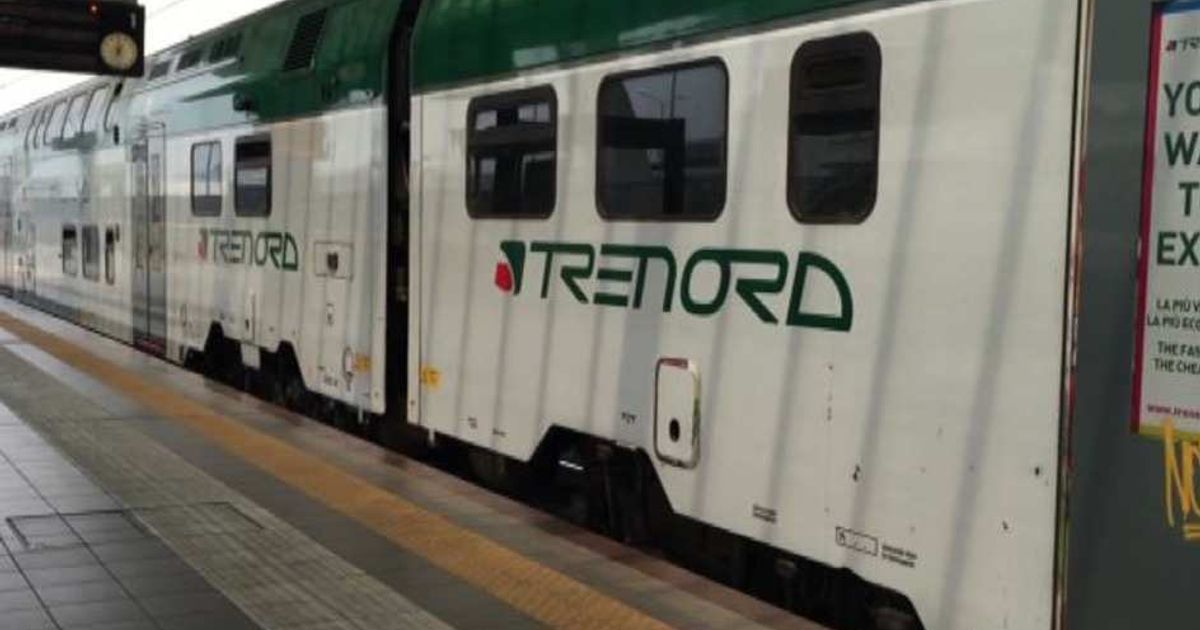 Video News 12/06/2015