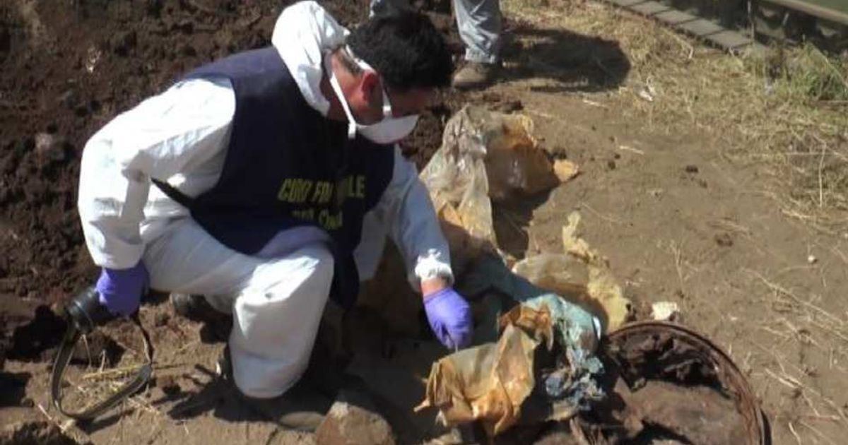 Video News 16/06/2015