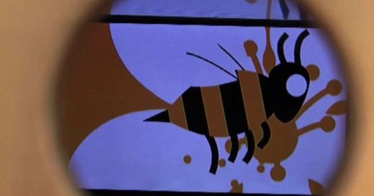 Video News 17/06/2015