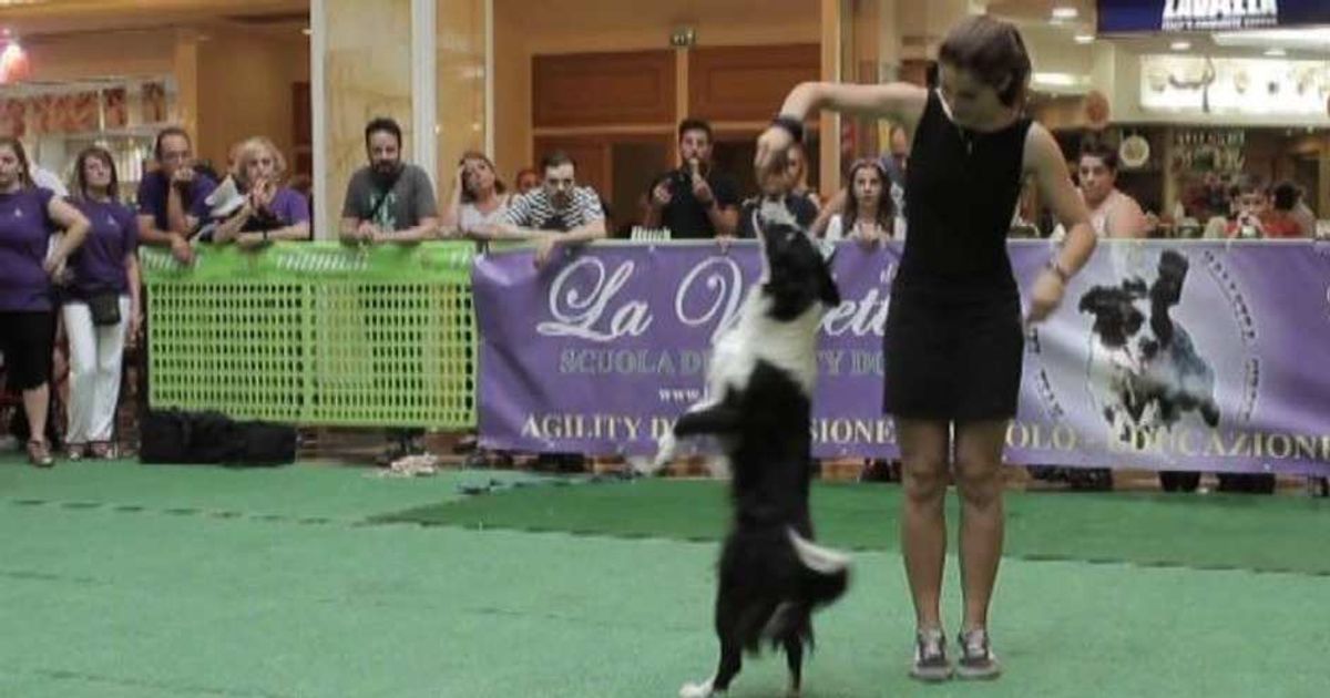 Video News 18/06/2015