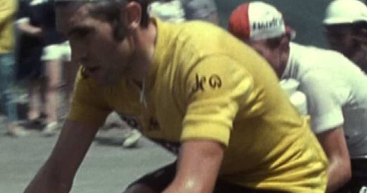 Video News 17/06/2015