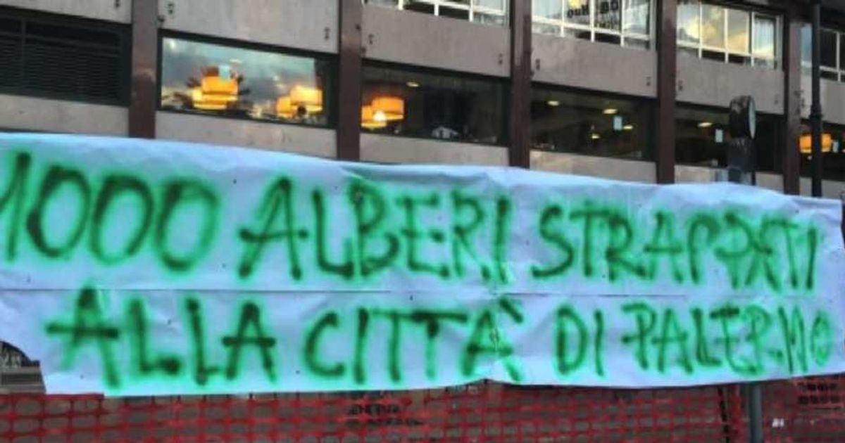 Video News 17/06/2015