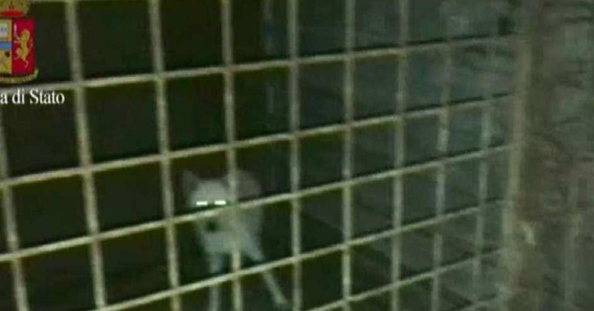 Video News 19/06/2015