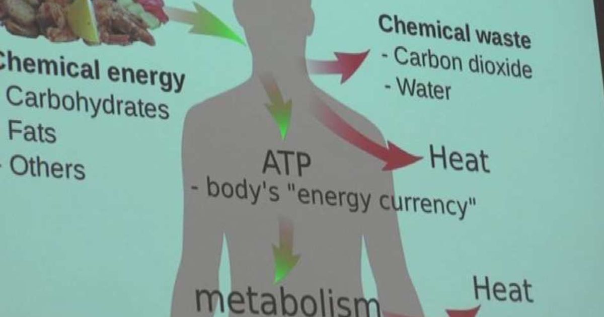 Video News 22/06/2015