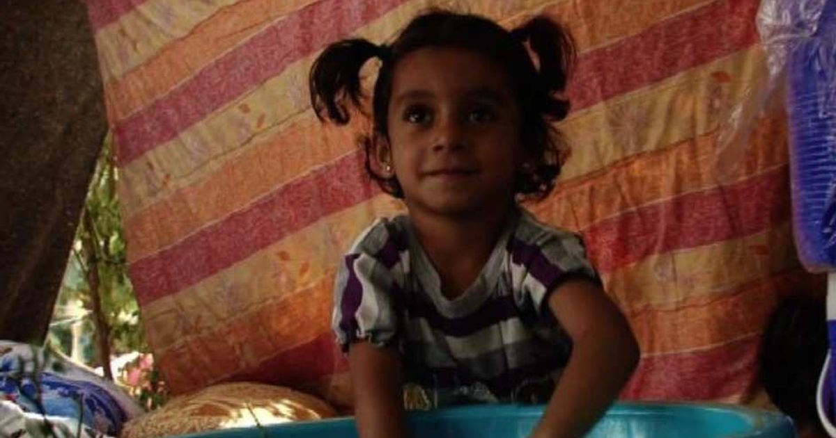 Video News 20/06/2015