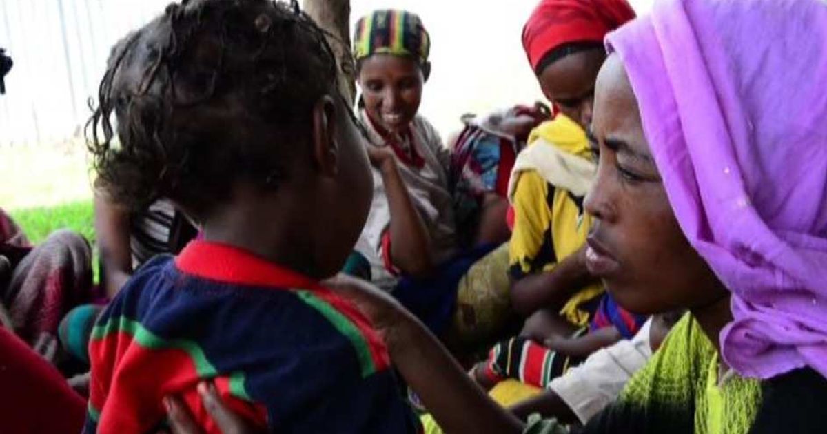 Video News 23/06/2015