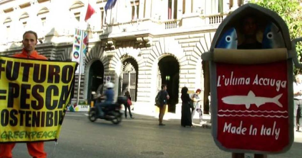 Video News 25/06/2015