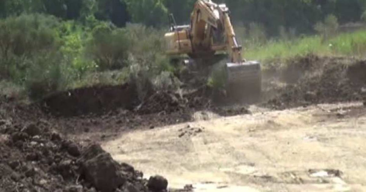 Video News 25/06/2015