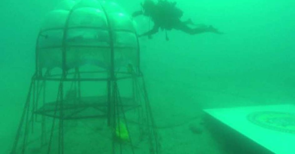 Video News 01/07/2015