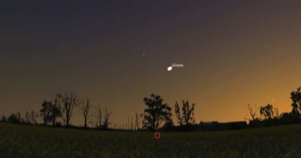 Video News 01/07/2015