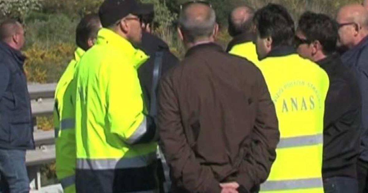 Video News 02/07/2015