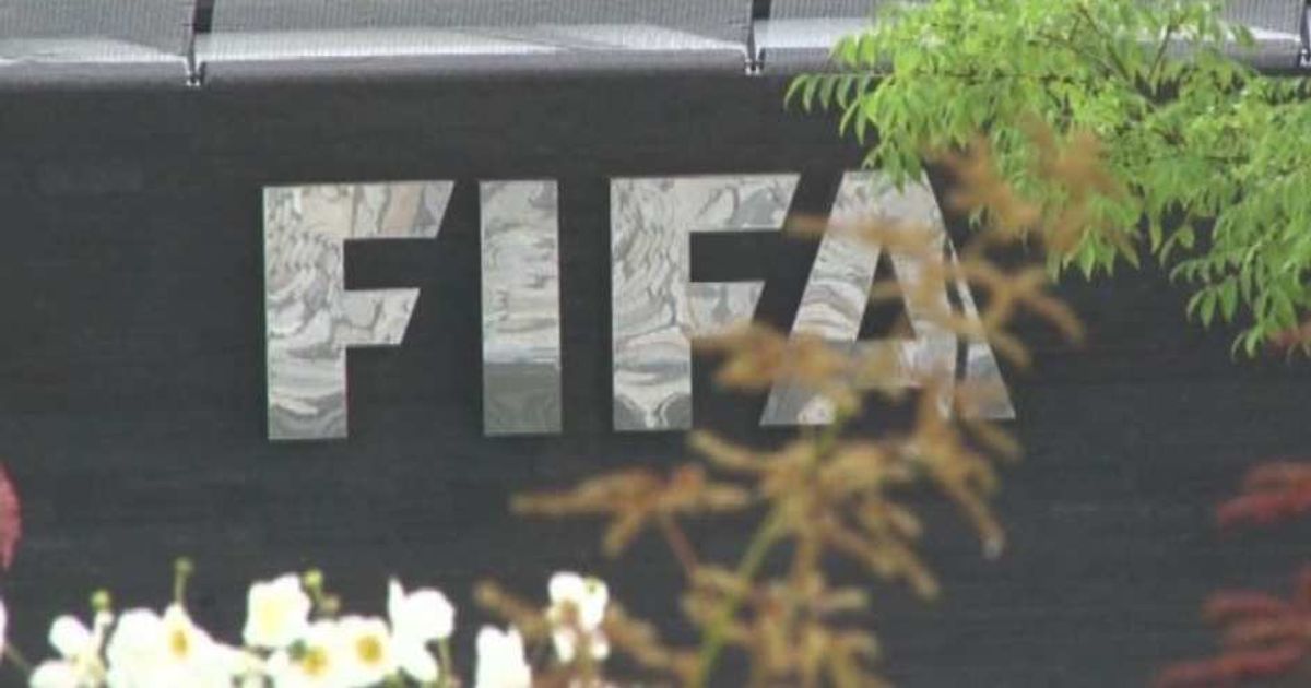 Video News 02/07/2015