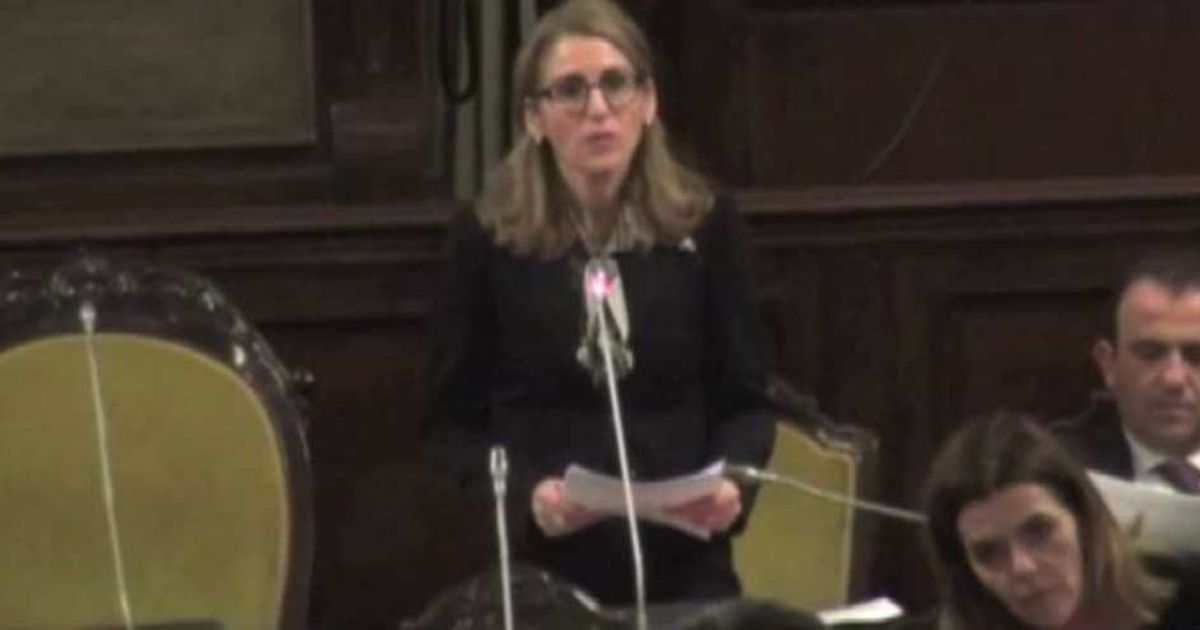 Video News 02/07/2015