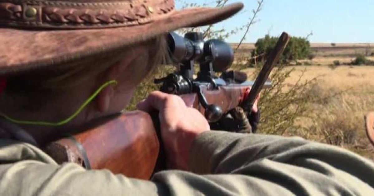 Video News 07/07/2015