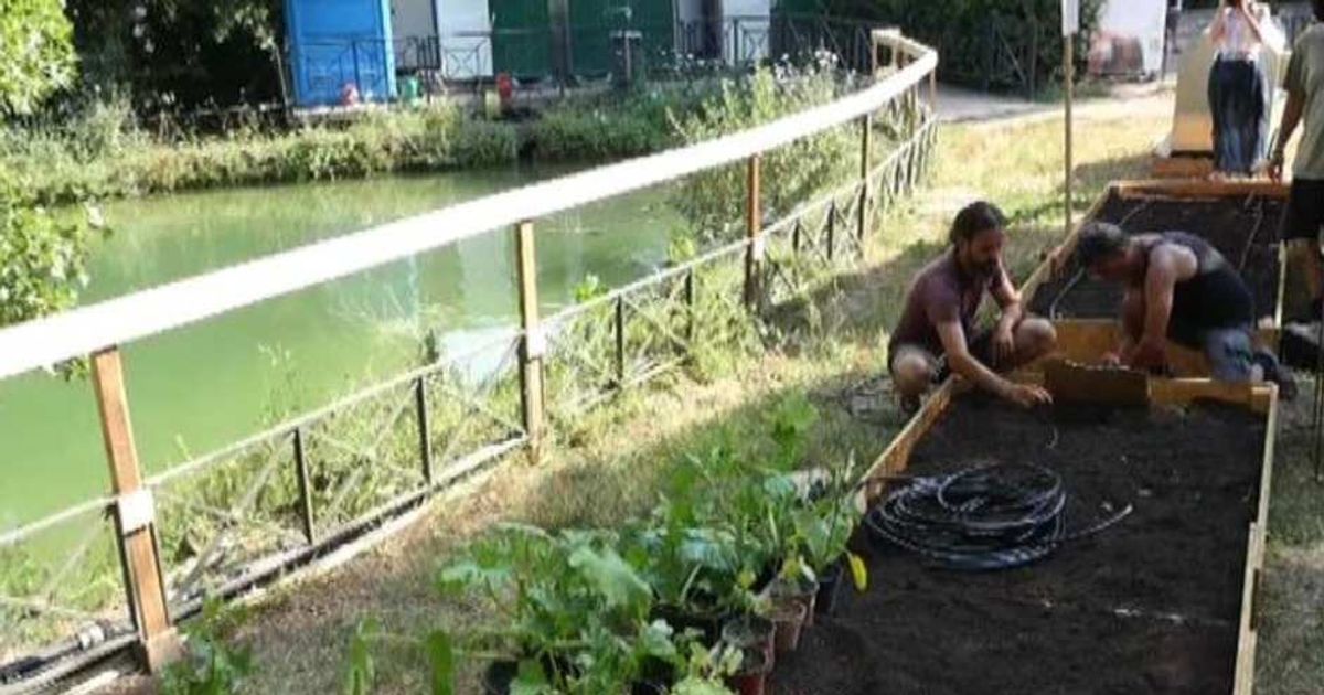 Video News 07/07/2015