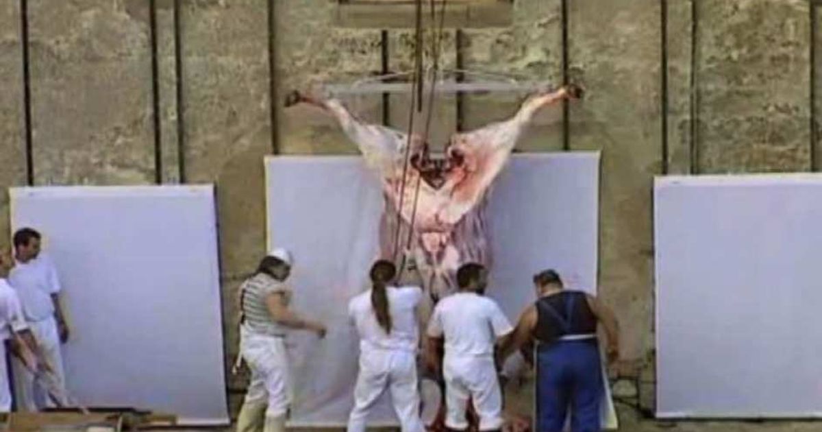 Video News 07/07/2015