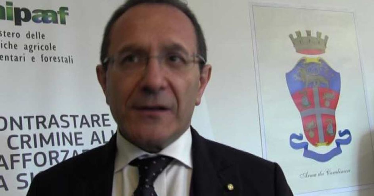 Video News 09/07/2015