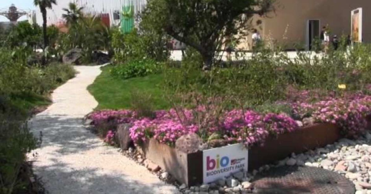 Video News 11/07/2015