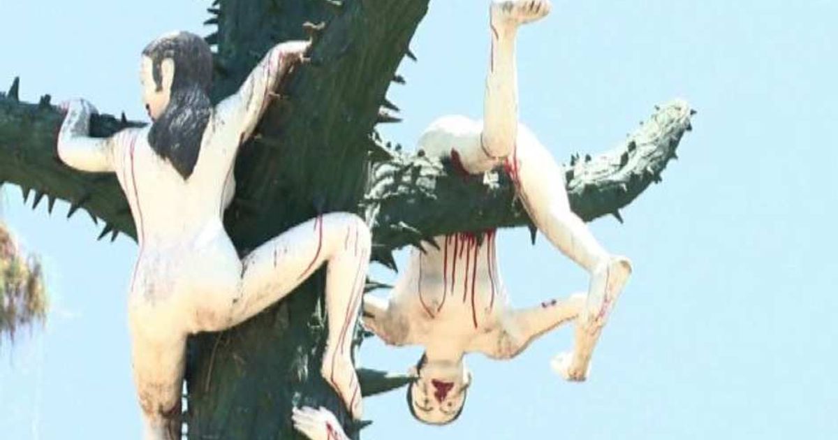 Video News 13/07/2015