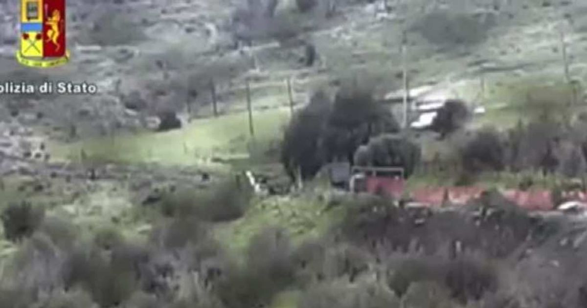 Video News 14/07/2015