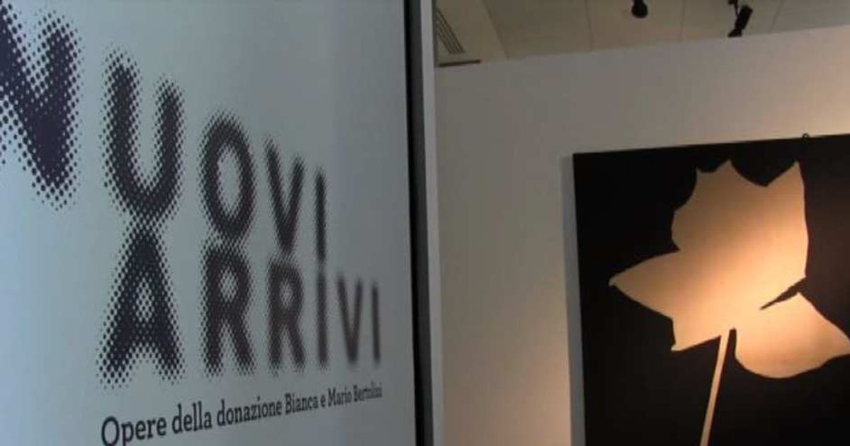 Video News 15/07/2015