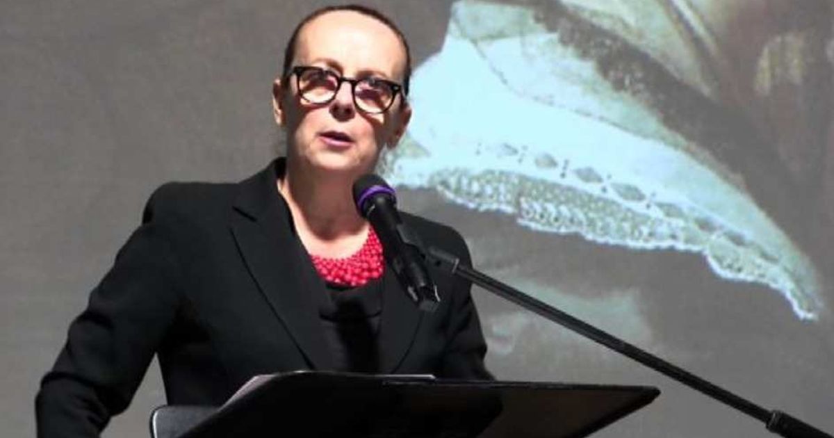 Video News 15/07/2015