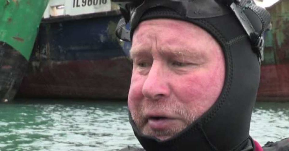 Video News 15/07/2015