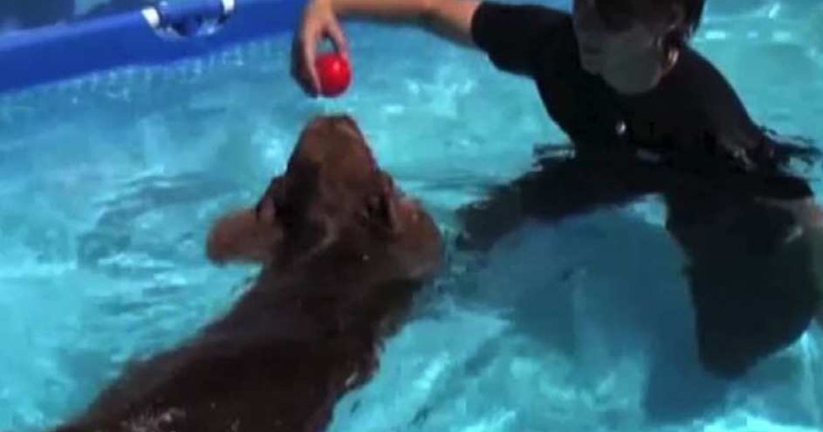 Video News 15/07/2015