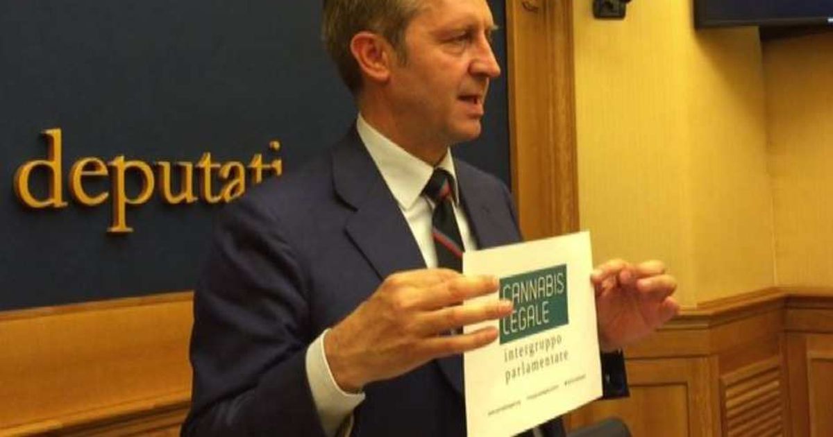 Video News 15/07/2015