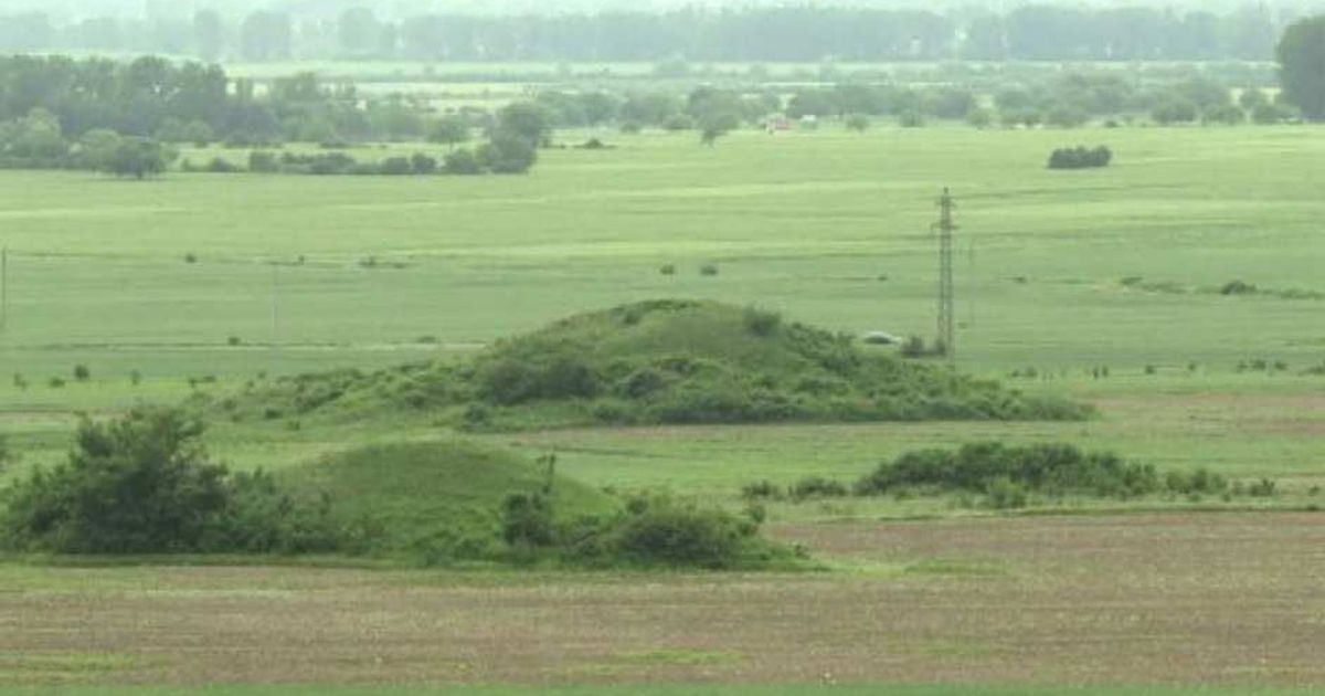 Video News 17/07/2015