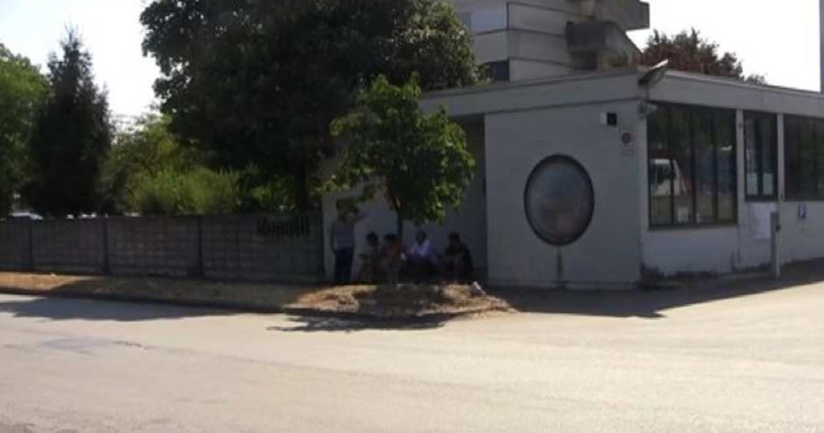 Video News 20/07/2015