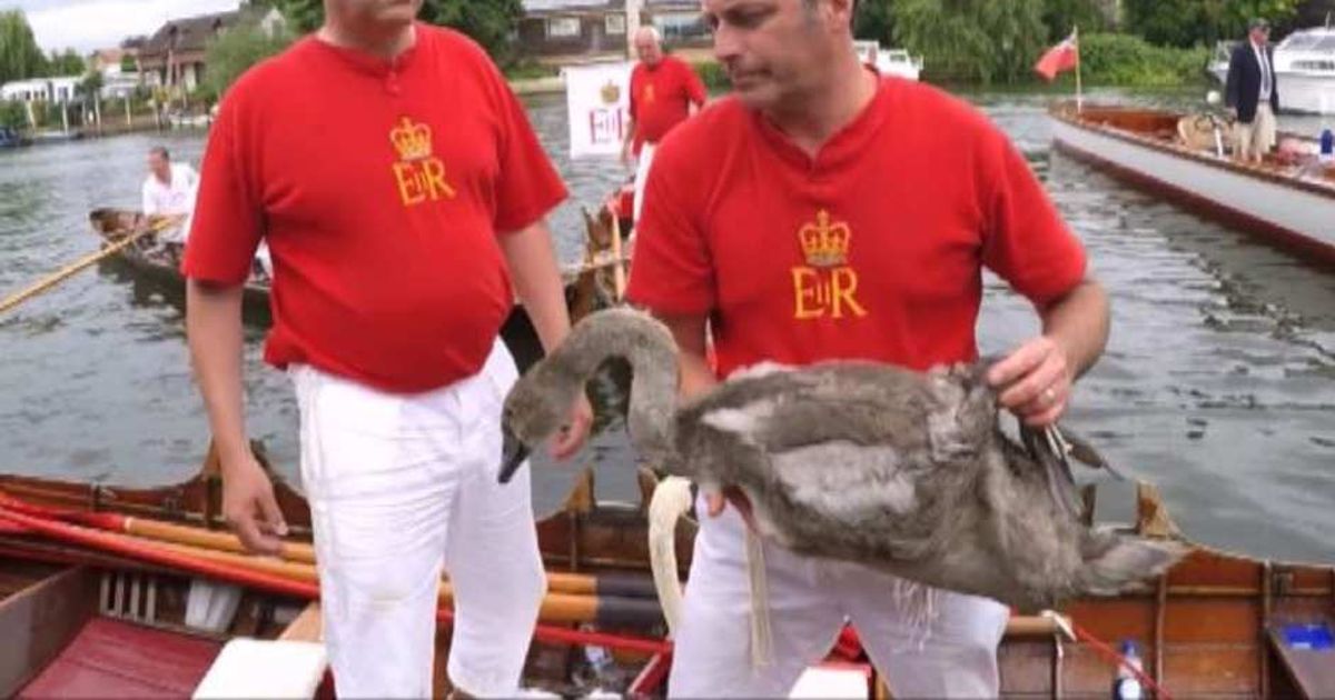 Video News 21/07/2015