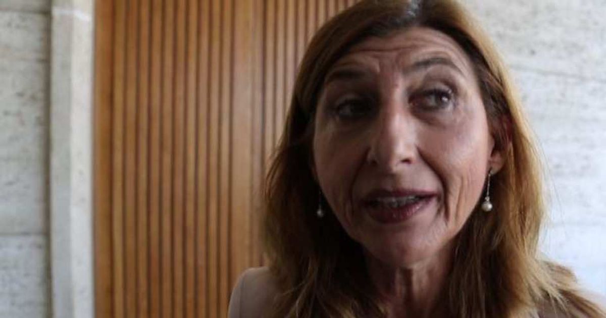 Video News 21/07/2015